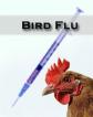 bird flu-astrology