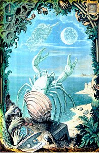 Cancer sun sign